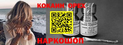 apvp Бийск