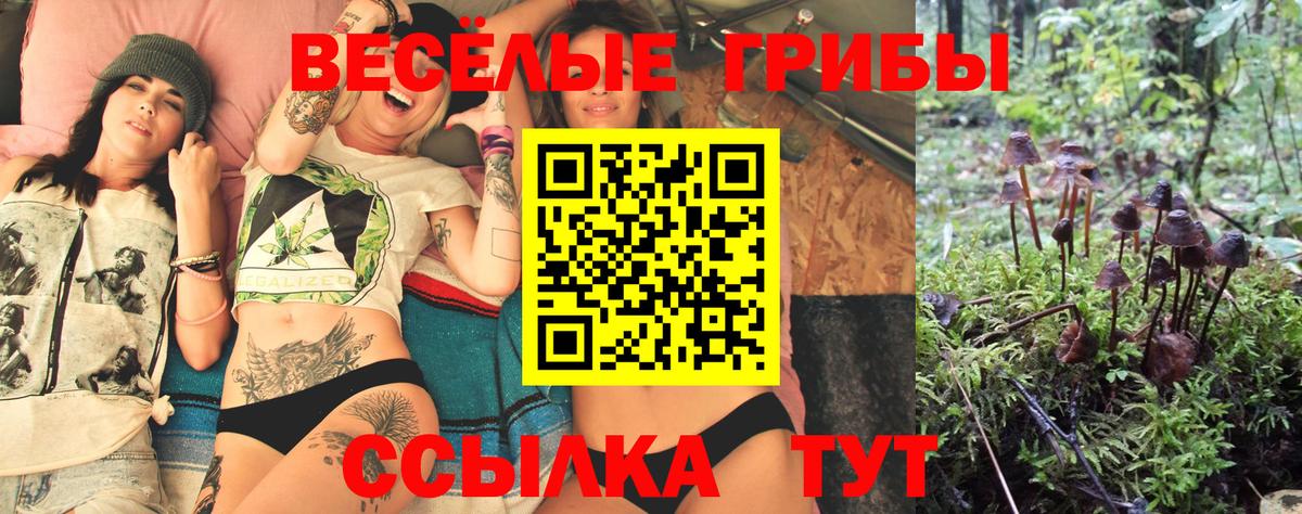 Белово  Галлюциногенные грибы мухоморы  Вход с VPN 
